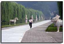 la voie des esprits est bordée de statues