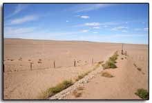 le désert de Gobi : du sable et des dunes