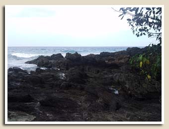 Début du Monkey Trail