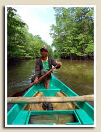 Balade sur la Mangrove