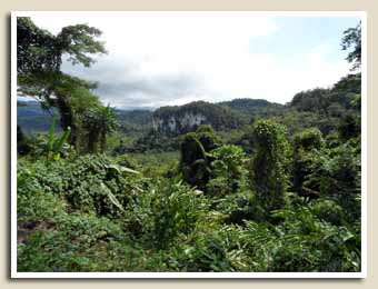 décor magique aux Philippines