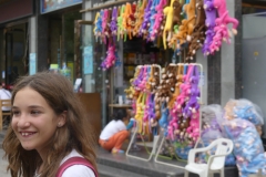 les nombreux singes attendent leur pigeon