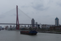 P1060303