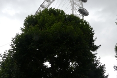 Londres jour 3 (23)