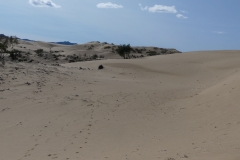Dunes de sable du mini-Gobi