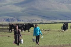 Audrey revient de la traite des yaks avec la maman de la famille nomade