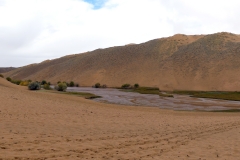 et au milieu des dunes coule une rivière