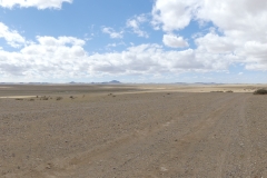la steppe mongole