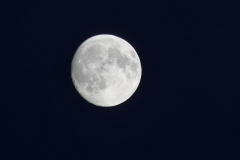 La Lune, prise en photo par mes soins, grâce à l'altitude et le ciel bien dégagé
