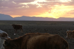 Coucher de soleil sur une morne plaine, Victor tu peux te retourner dans ta tombe, ici pas de guerre