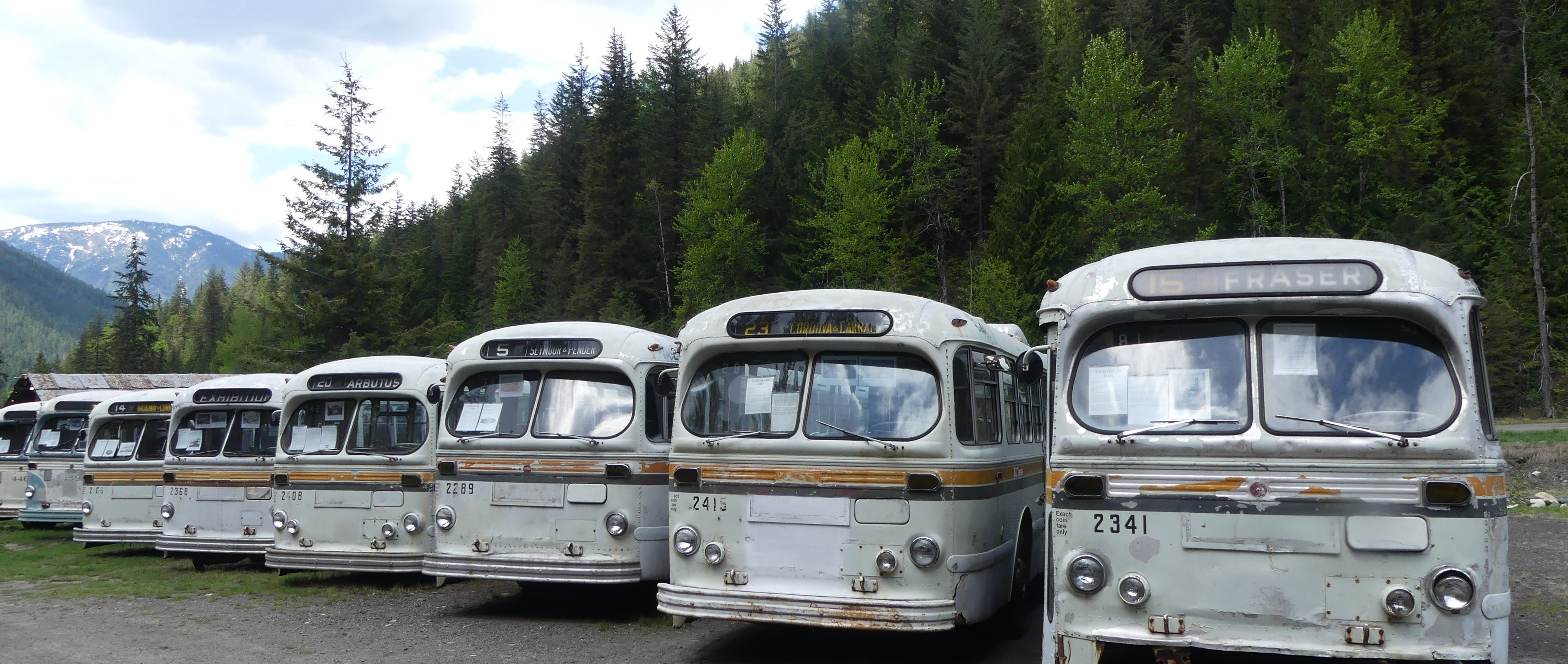 Trolleys abandonnés