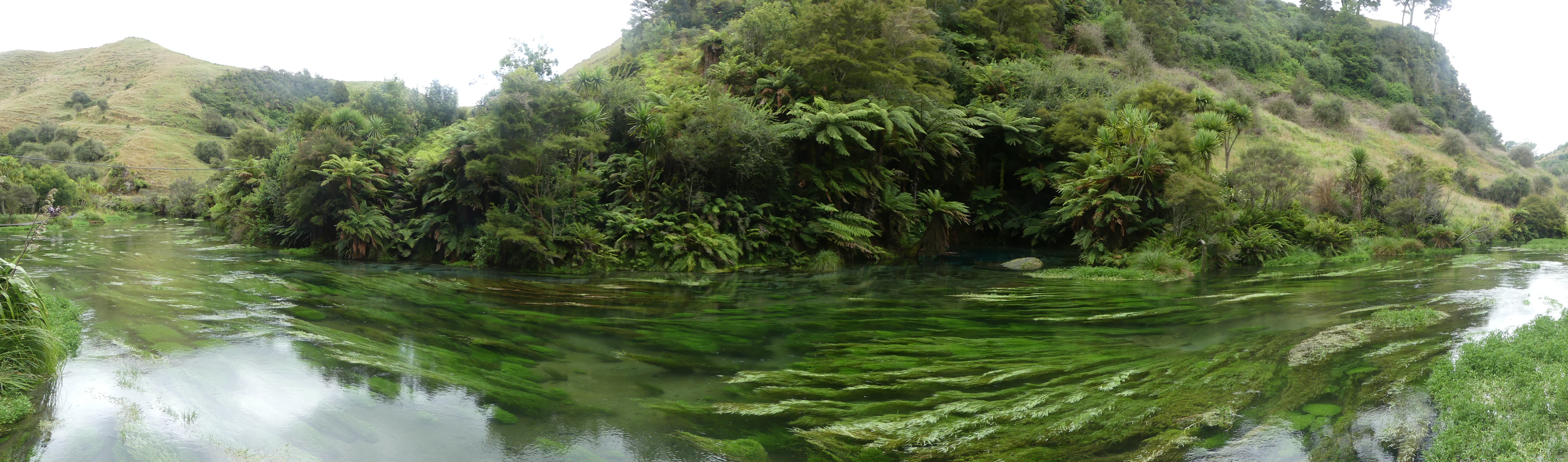 la rivière coule paisiblement