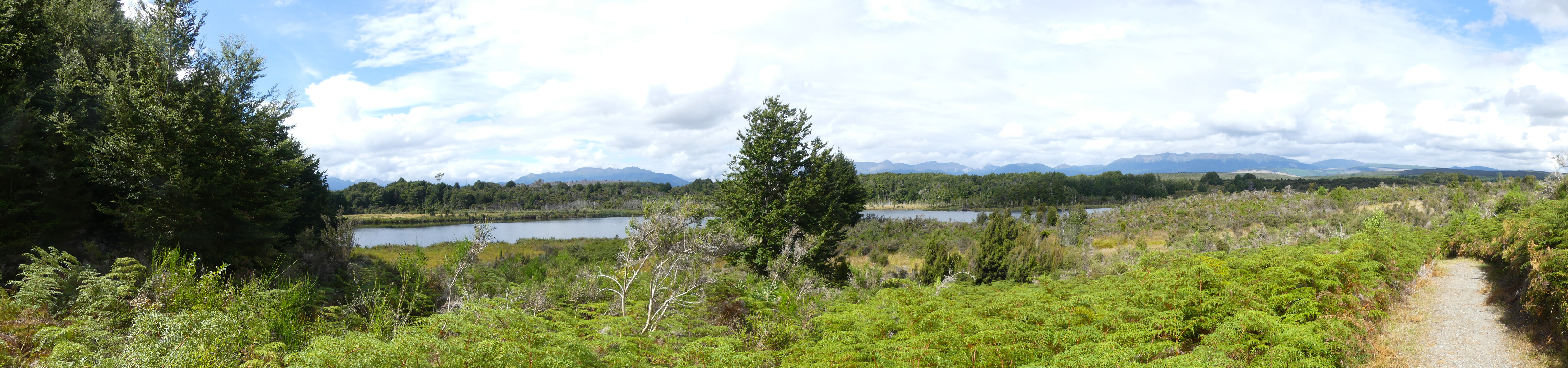 lake Mistletoe