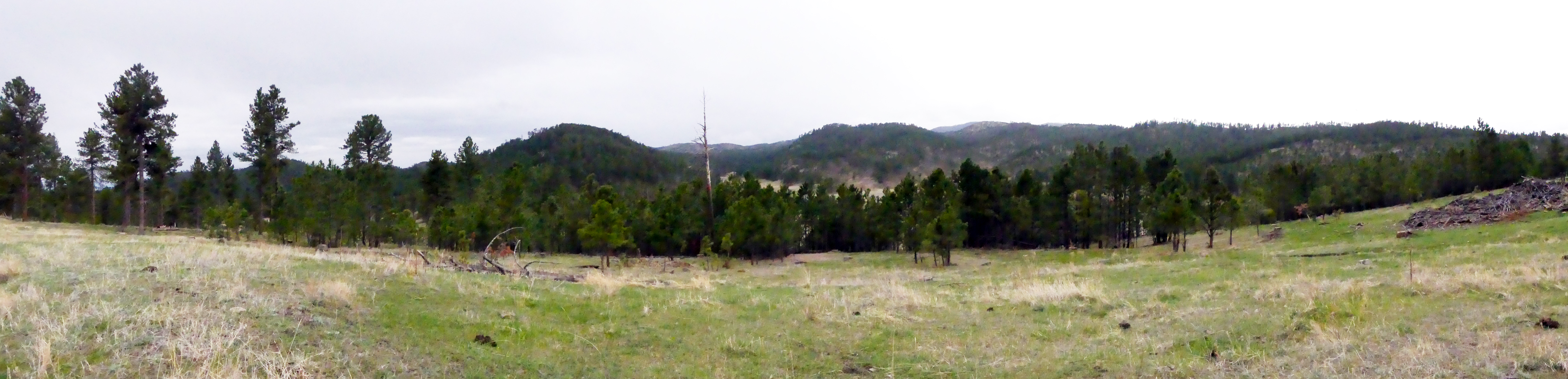 Wind Cave NP et Custer State Park, South Dakota