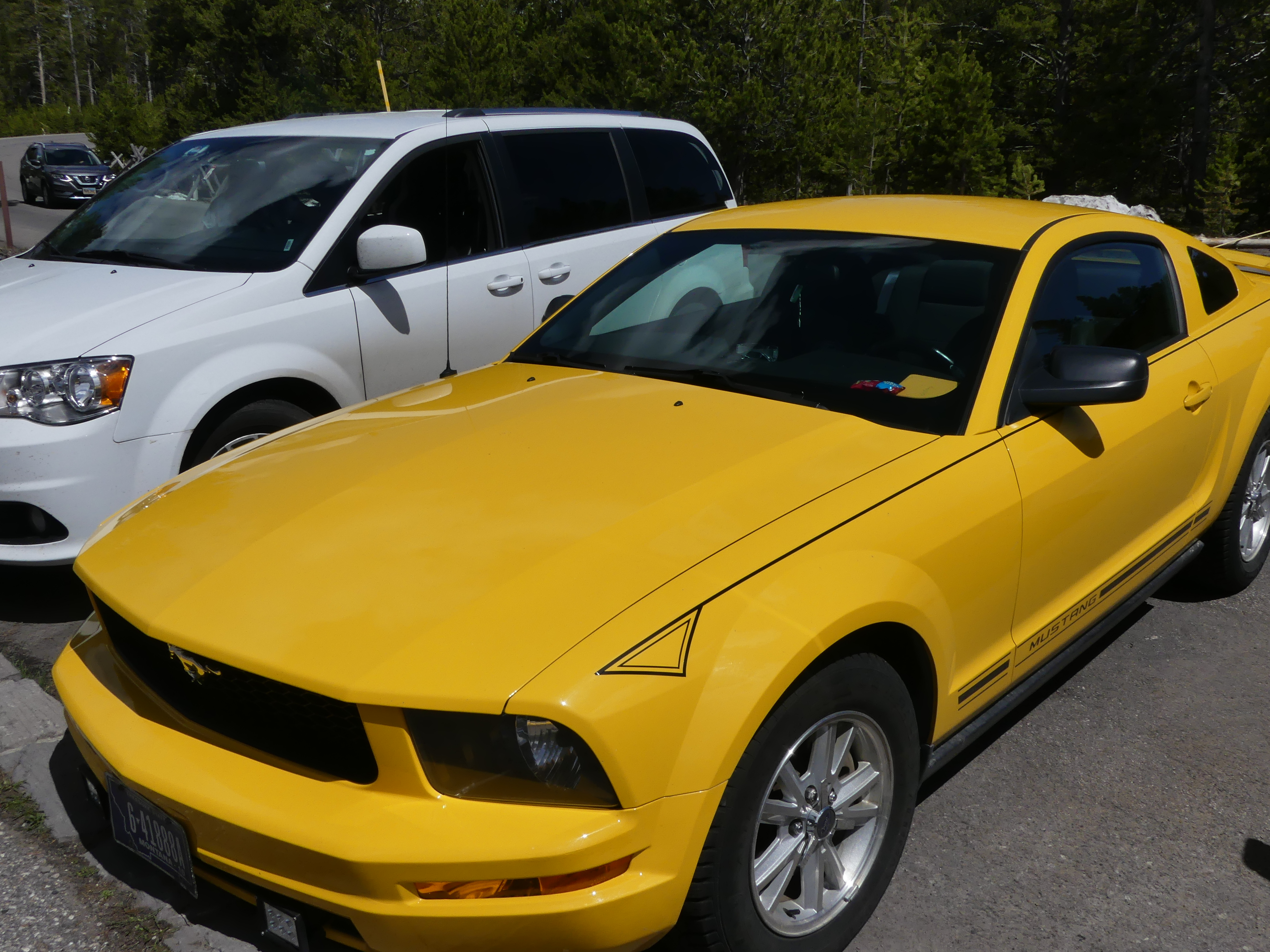 Mustang jaune