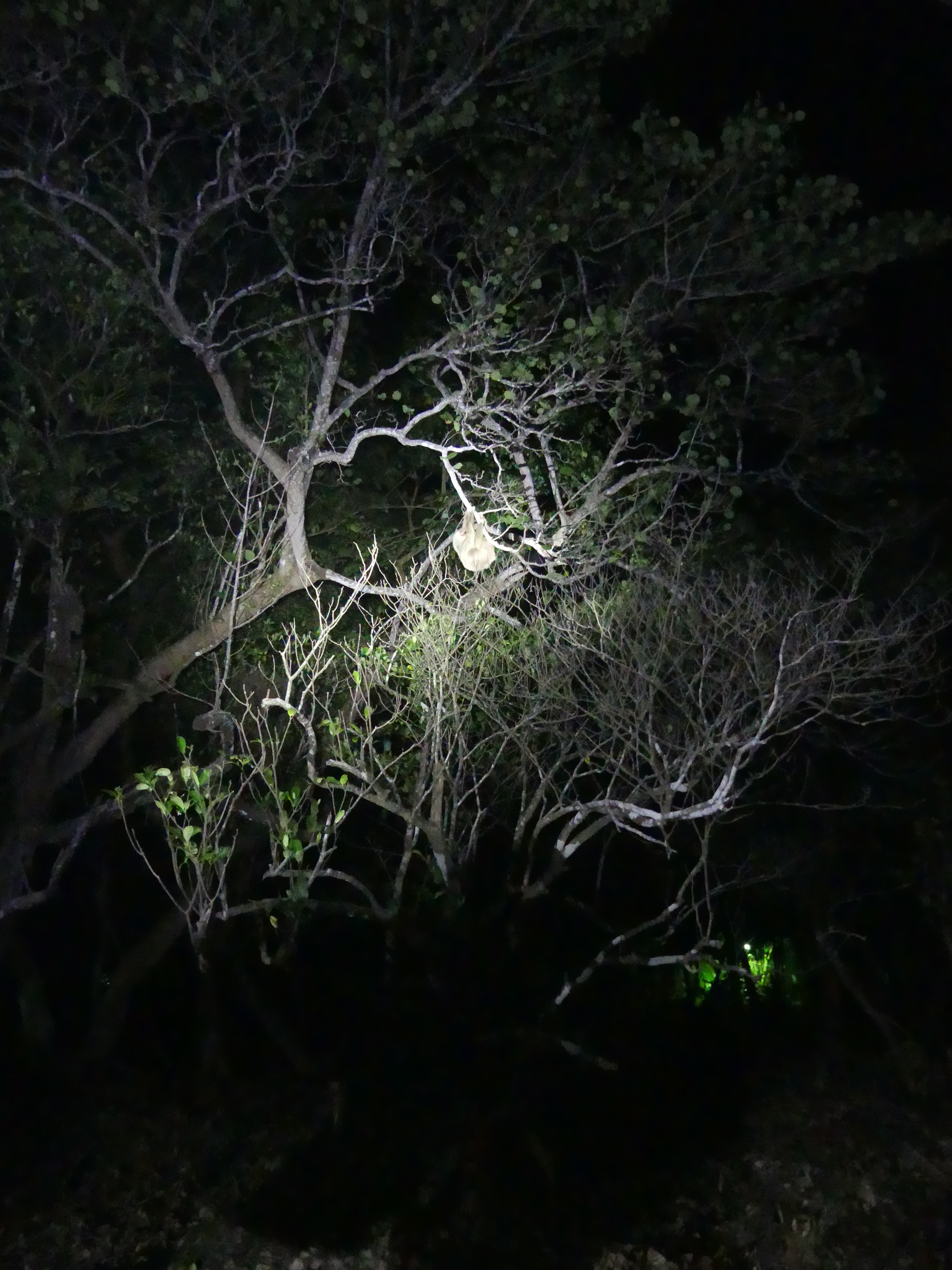 une photo au hasard de notre tour du monde en famille