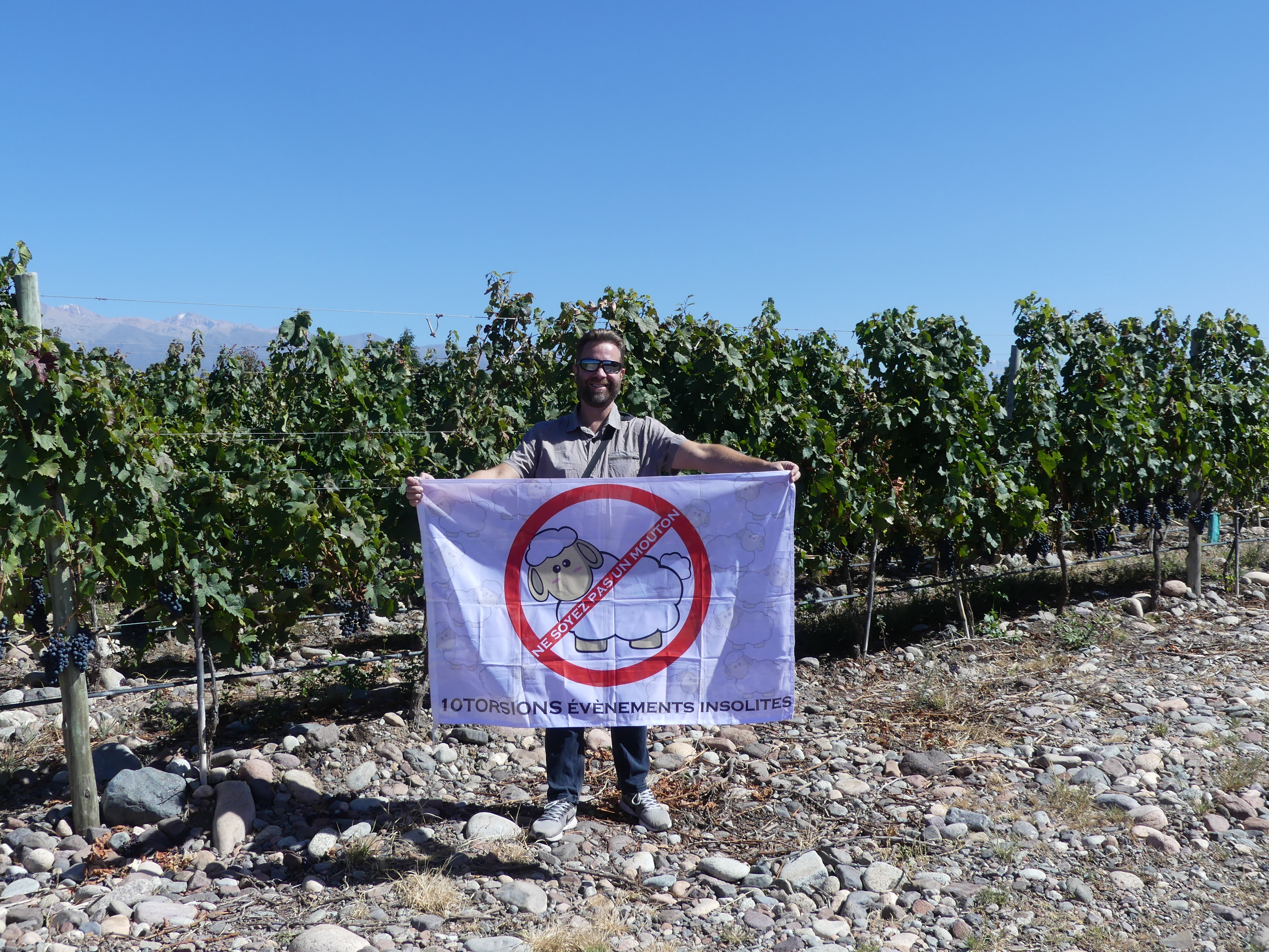 10Torsions dans les vignobles d'Argentine